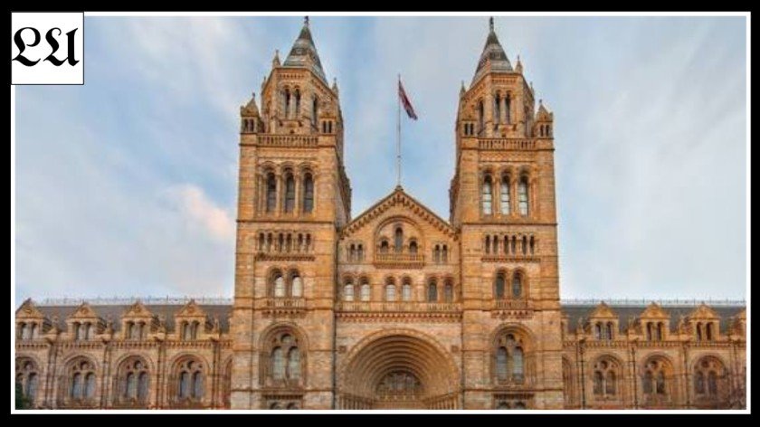 Natural History Museum London Tickets Prices and Opening Hours