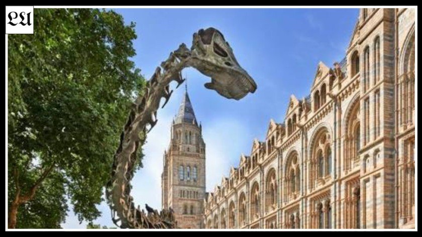 Natural History Museum London Tickets and Opening Times