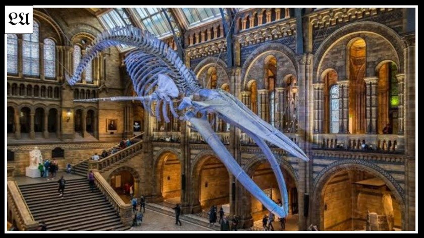 Free Museums in London 20 Best Museums to Visit in 2026 