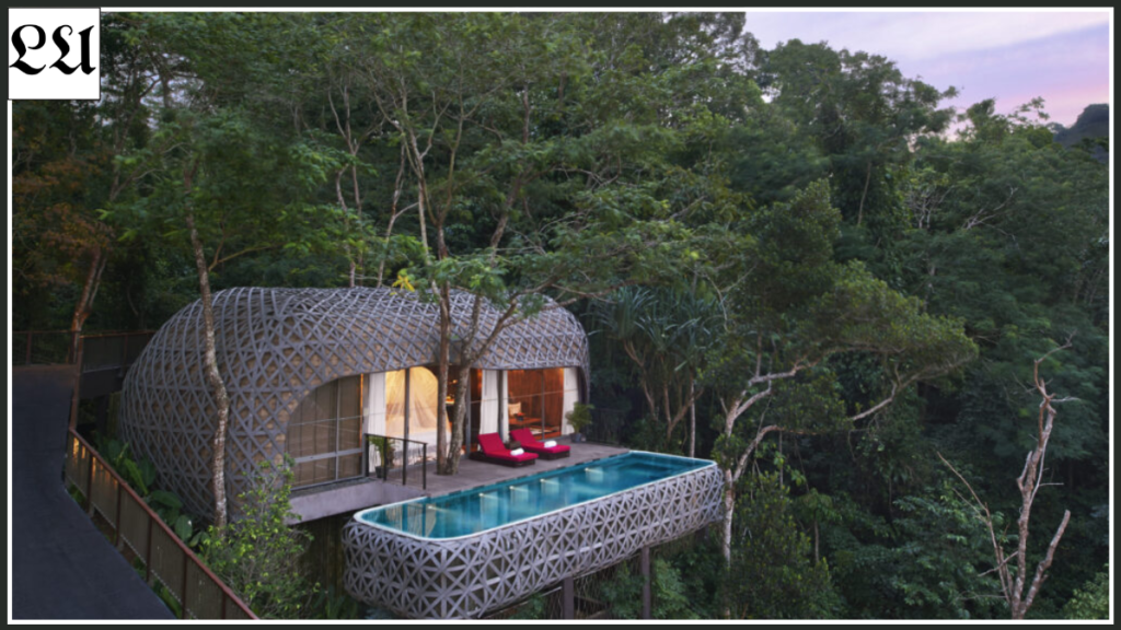 The Rise of Eco-Lodges and What Makes Them Different